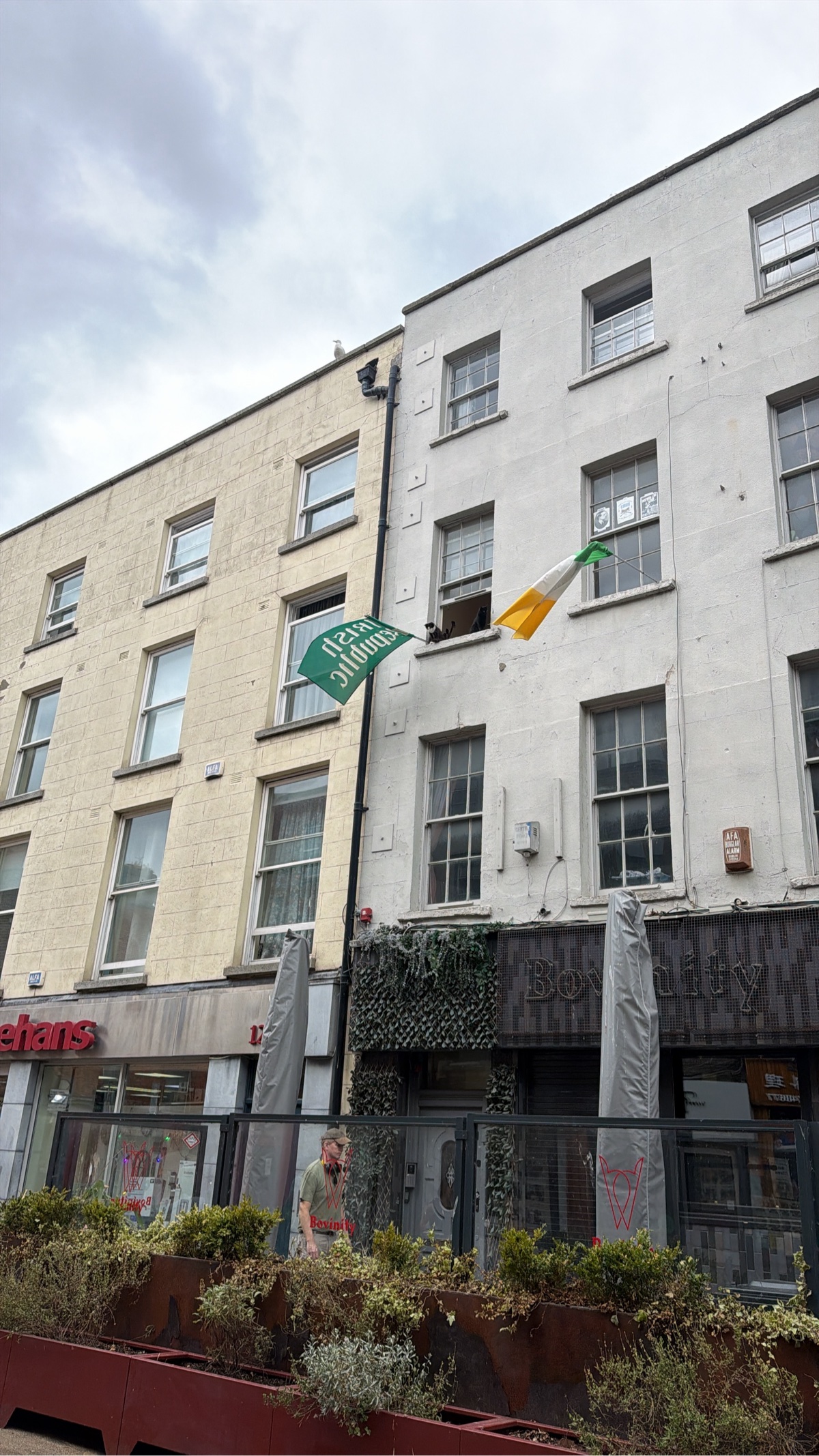 Dublin