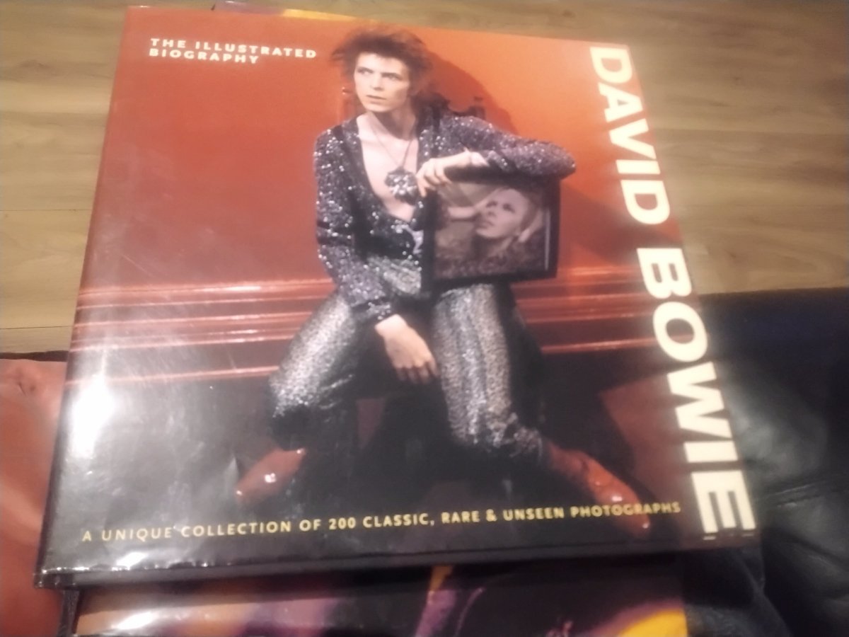 David bowie illus bio