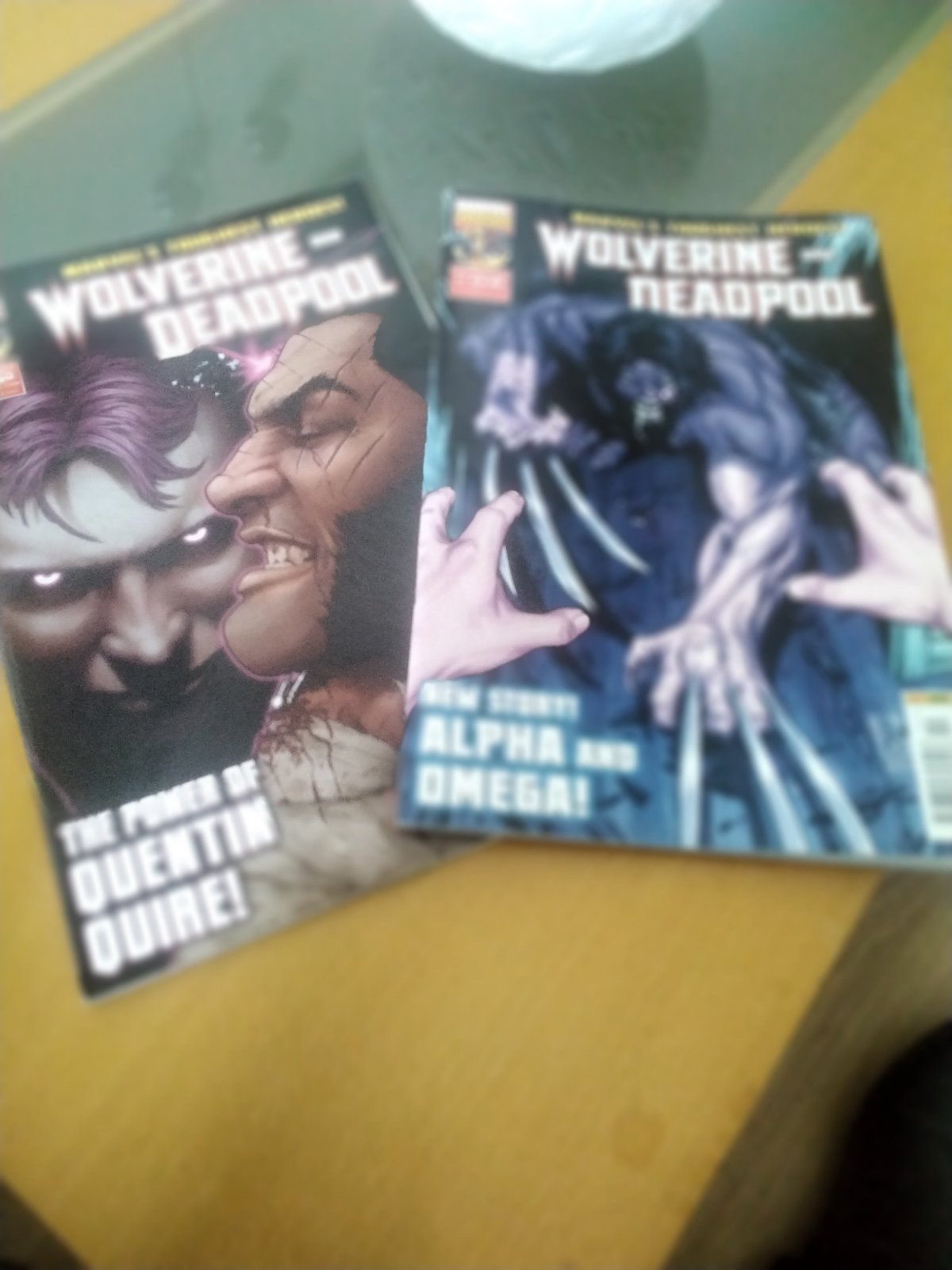 Marvel comics.   Wolverine/deadpool
