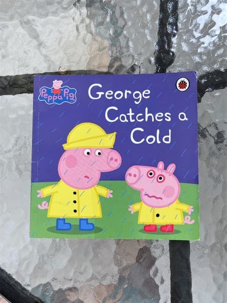 Kids' books, 20 paperbacks