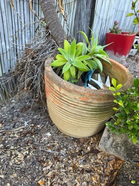 Terracotta pots, 6 mixed sizes
