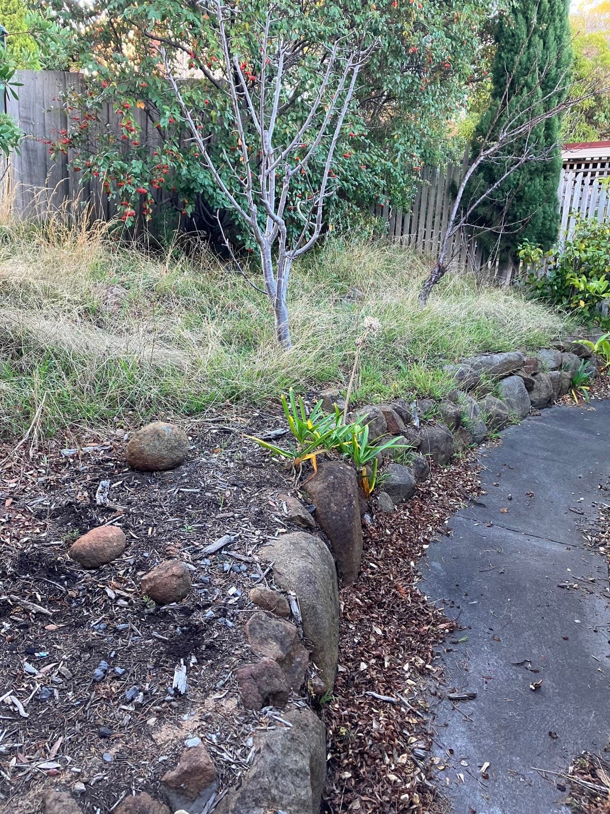 Gardener - mowing, edging, weeding