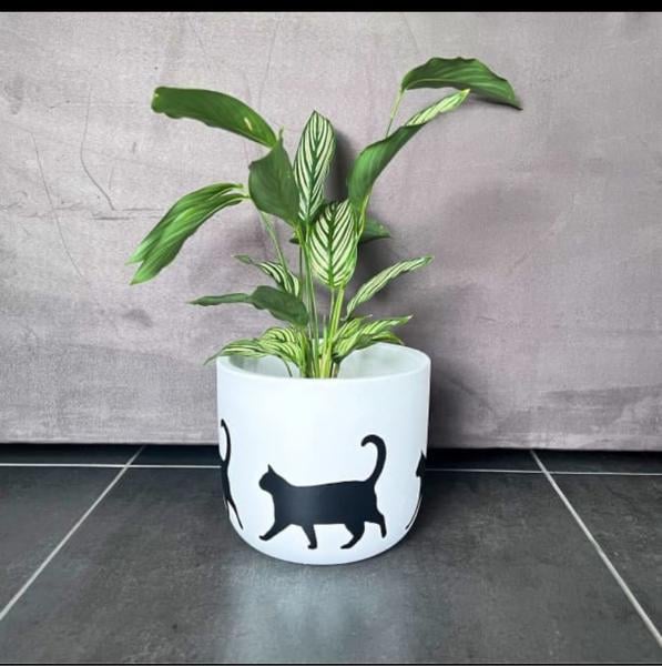 Terracotta plant pots, set of 10