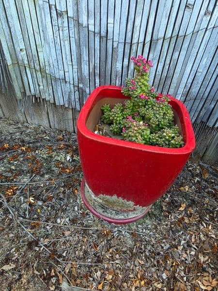 Terracotta pots, 6 mixed sizes